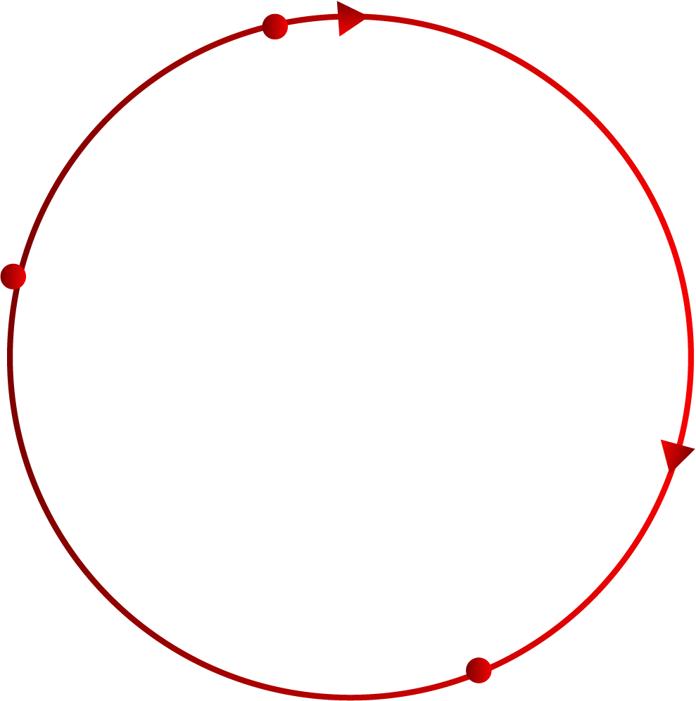 Órbita Estructura