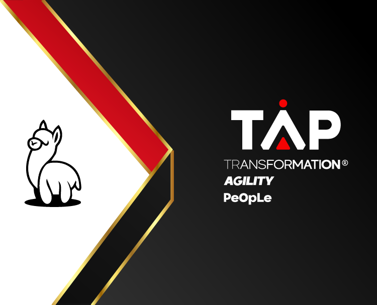 TAP Card